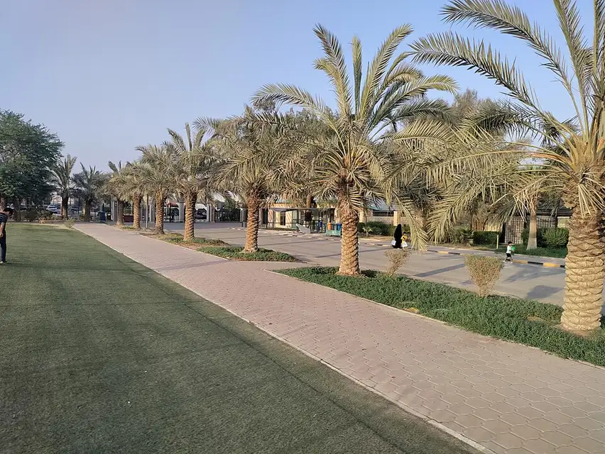 Al Ahmadi — Dates trees in Kuwait — photographed within 3 km of the mapped location